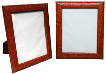 8x10 Reptile Photo Frames